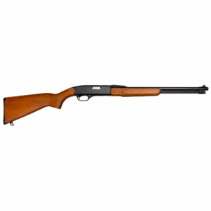 Used Winchester 290 .22S/L/LR